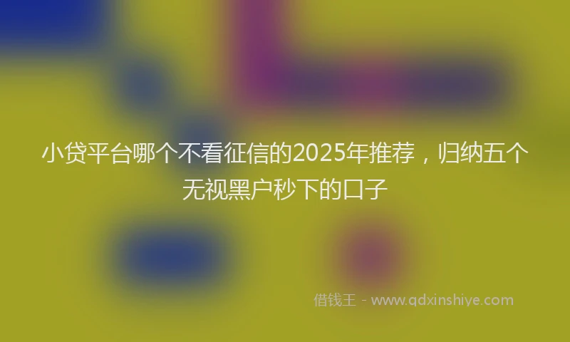 小贷平台哪个不看征信的2025年推荐，归纳五个无视黑户秒下的口子