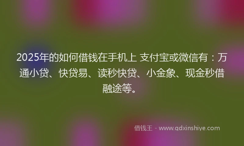 2025年的如何借钱在手机上 支付宝或微信有：万通小贷、快贷易、读秒快贷、小金象、现金秒借融途等。