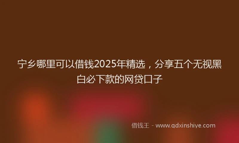 宁乡哪里可以借钱2025年精选，分享五个无视黑白必下款的网贷口子