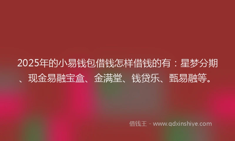 2025年的小易钱包借钱怎样借钱的有：星梦分期、现金易融宝盒、金满堂、钱贷乐、甄易融等。
