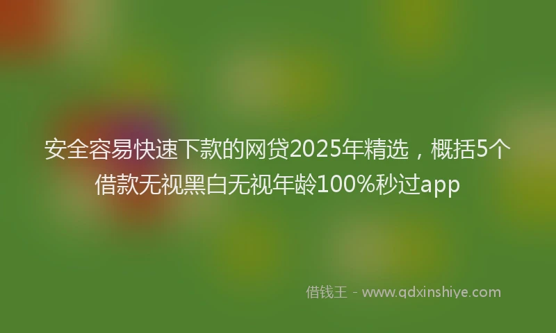 安全容易快速下款的网贷2025年精选，概括5个借款无视黑白无视年龄100%秒过app