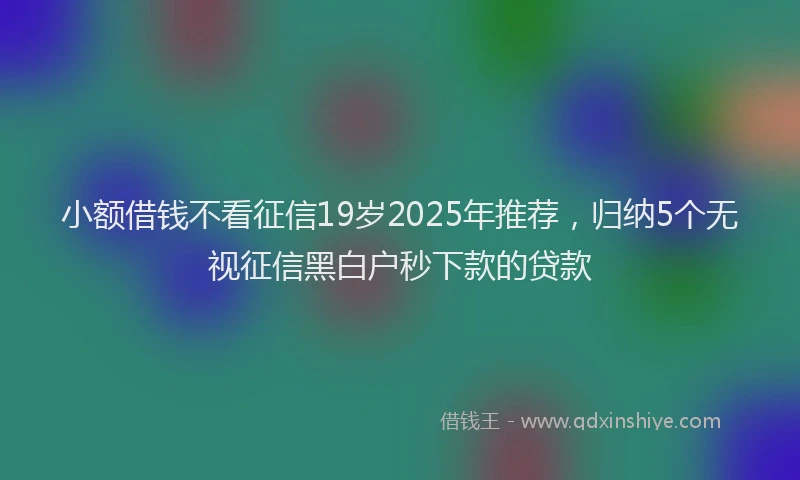 小额借钱不看征信19岁2025年推荐，归纳5个无视征信黑白户秒下款的贷款