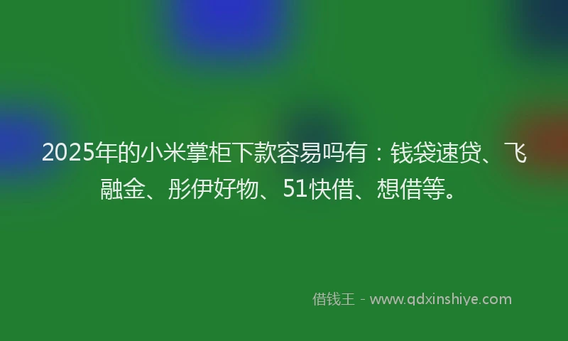 2025年的小米掌柜下款容易吗有：钱袋速贷、飞融金、彤伊好物、51快借、想借等。