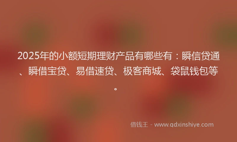 2025年的小额短期理财产品有哪些有：瞬信贷通、瞬借宝贷、易借速贷、极客商城、袋鼠钱包等。