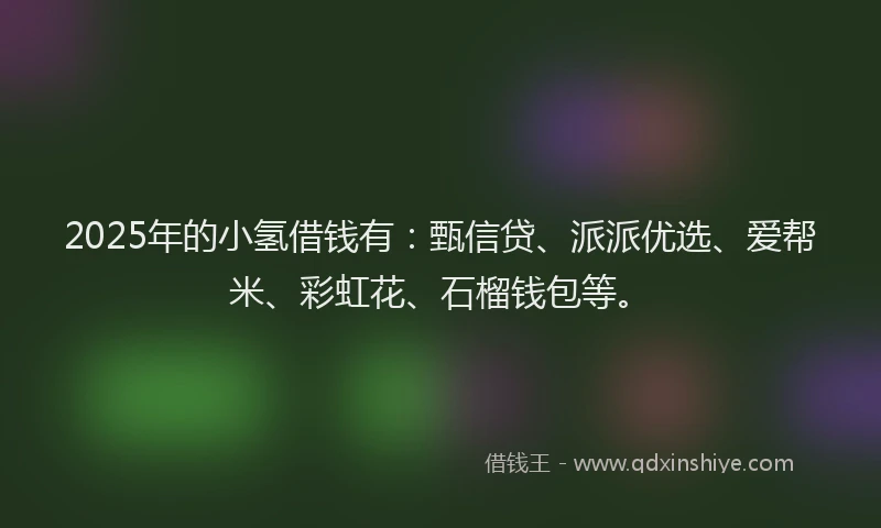 2025年的小氢借钱有：甄信贷、派派优选、爱帮米、彩虹花、石榴钱包等。