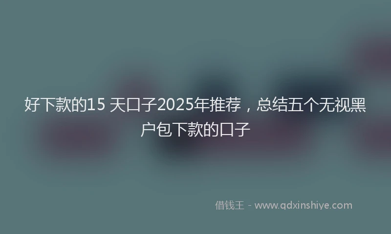 好下款的15 天口子2025年推荐，总结五个无视黑户包下款的口子