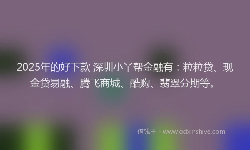 2025年的好下款 深圳小丫帮金融有：粒粒贷、现金贷易融、腾飞商城、酷购、翡翠分期等。