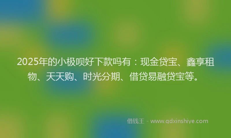 2025年的小极呗好下款吗有:现金贷宝、鑫享租物、天天购、时光分期、借贷易融贷宝等。