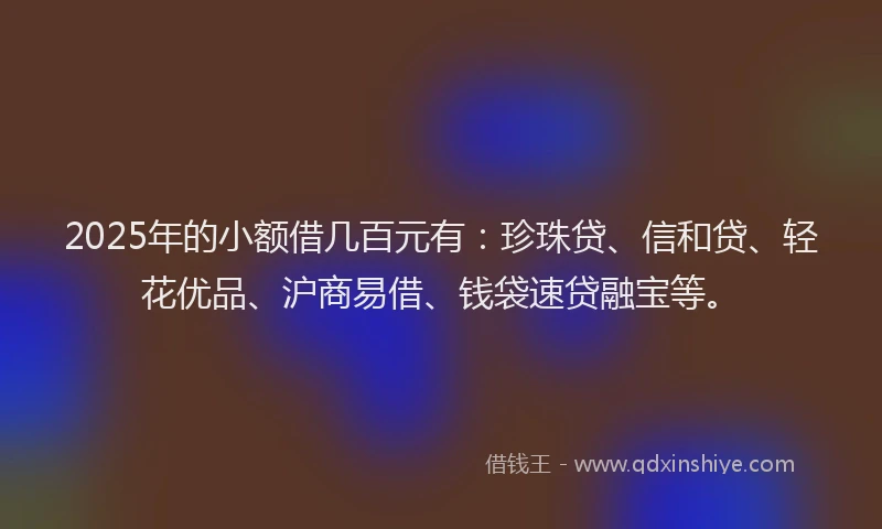 2025年的小额借几百元有：珍珠贷、信和贷、轻花优品、沪商易借、钱袋速贷融宝等。