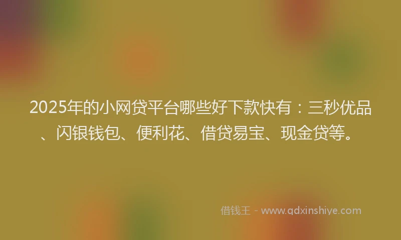 2025年的小网贷平台哪些好下款快有：三秒优品、闪银钱包、便利花、借贷易宝、现金贷等。
