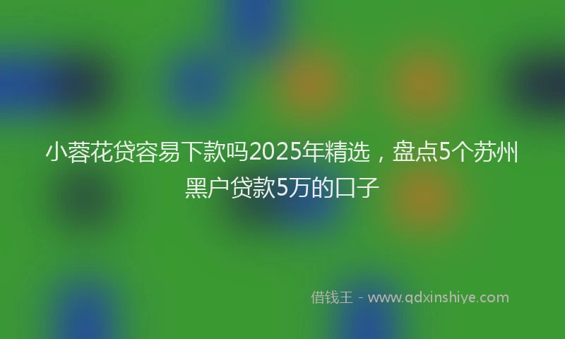 小蓉花贷容易下款吗2025年精选，盘点5个苏州黑户贷款5万的口子