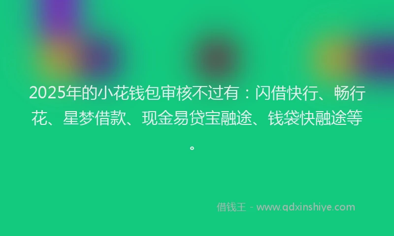 2025年的小花钱包审核不过有：闪借快行、畅行花、星梦借款、现金易贷宝融途、钱袋快融途等。