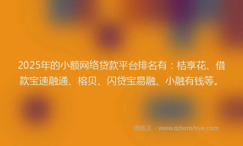 2025年的小额网络贷款平台排名有：桔享花、借款宝速融通、榕贝、闪贷宝易融、小融有钱等。
