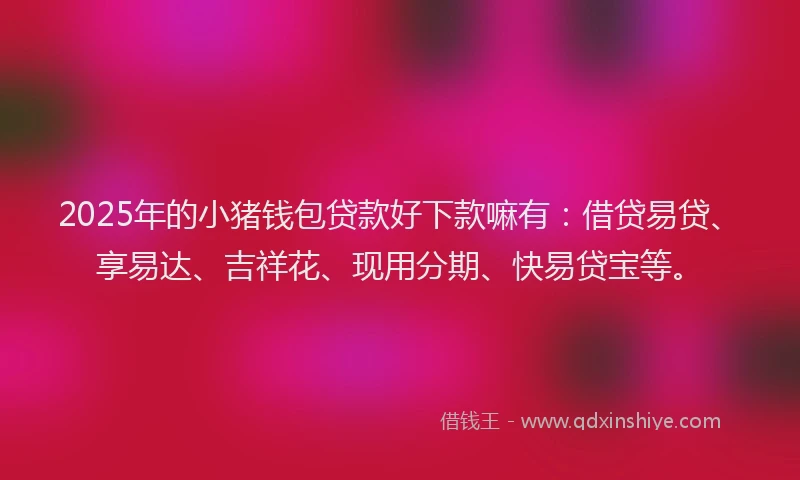 2025年的小猪钱包贷款好下款嘛有：借贷易贷、享易达、吉祥花、现用分期、快易贷宝等。