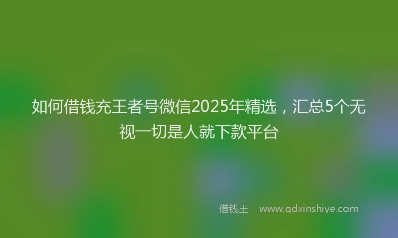 如何借钱充王者号微信2025年精选，汇总5个无视一切是人就下款平台