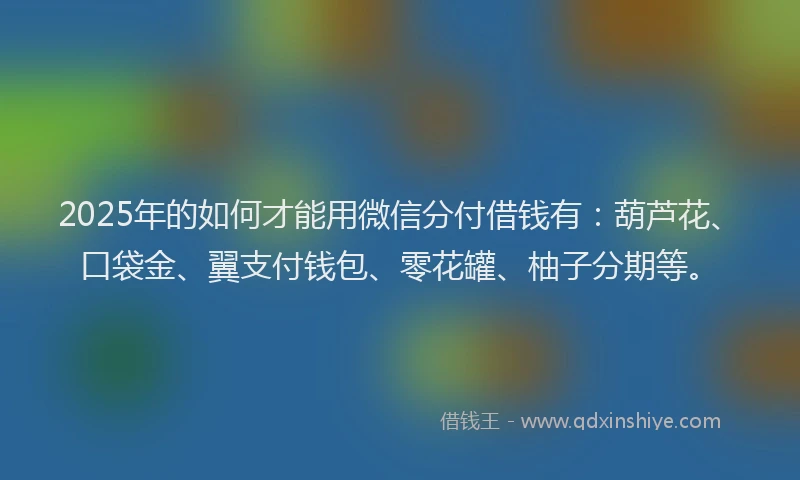 2025年的如何才能用微信分付借钱有：葫芦花、口袋金、翼支付钱包、零花罐、柚子分期等。
