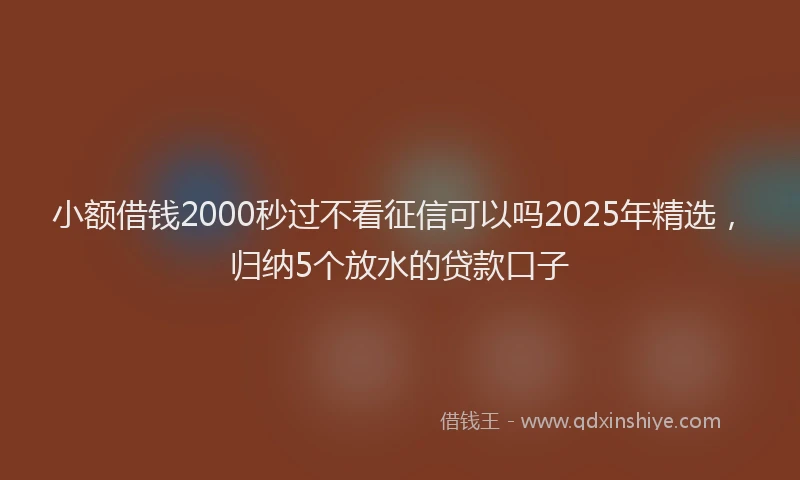 小额借钱2000秒过不看征信可以吗2025年精选，归纳5个放水的贷款口子