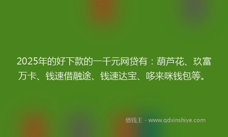 2025年的好下款的一千元网贷有：葫芦花、玖富万卡、钱速借融途、钱速达宝、哆来咪钱包等。