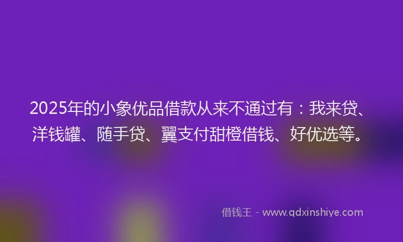 2025年的小象优品借款从来不通过有：我来贷、洋钱罐、随手贷、翼支付甜橙借钱、好优选等。