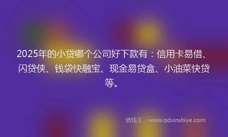 2025年的小贷哪个公司好下款有：信用卡易借、闪贷侠、钱袋快融宝、现金易贷盒、小油菜快贷等。