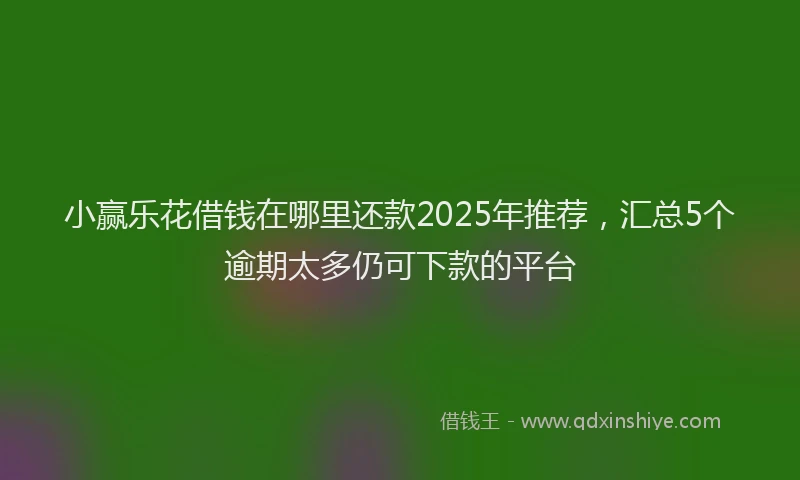 小赢乐花借钱在哪里还款2025年推荐，汇总5个逾期太多仍可下款的平台