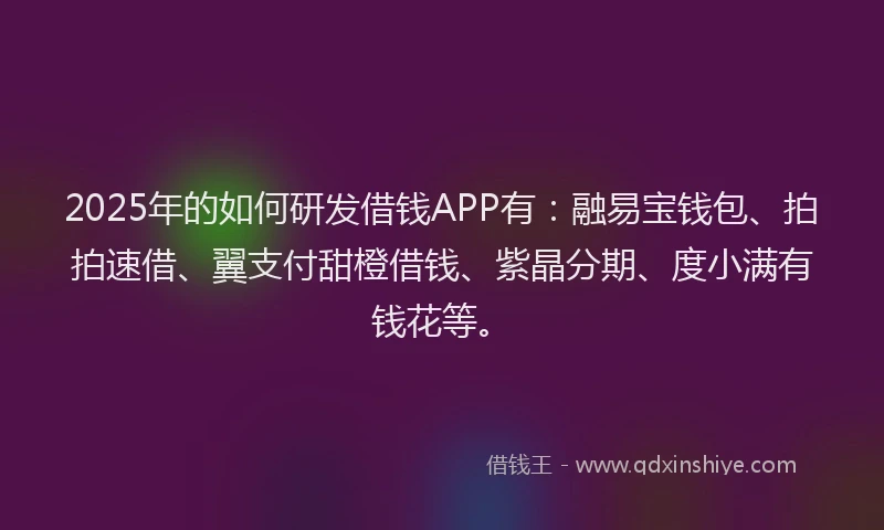 2025年的如何研发借钱APP有：融易宝钱包、拍拍速借、翼支付甜橙借钱、紫晶分期、度小满有钱花等。
