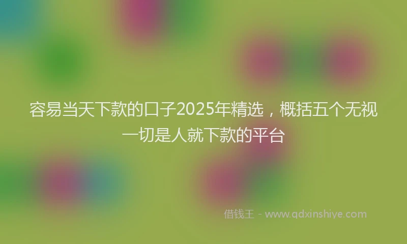 容易当天下款的口子2025年精选，概括五个无视一切是人就下款的平台