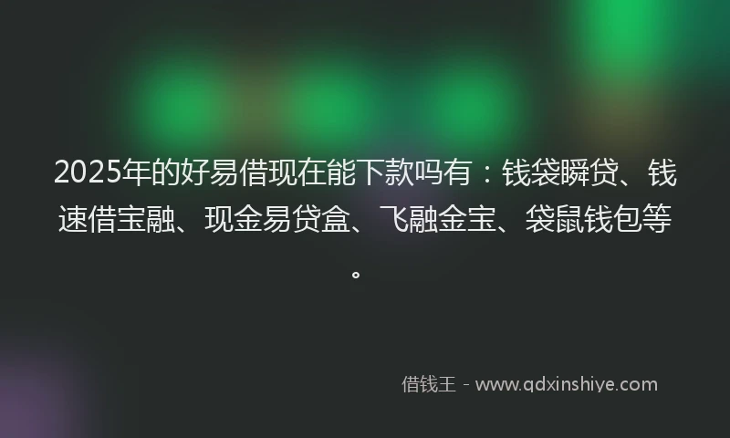 2025年的好易借现在能下款吗有：钱袋瞬贷、钱速借宝融、现金易贷盒、飞融金宝、袋鼠钱包等。