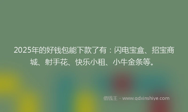 2025年的好钱包能下款了有：闪电宝盒、招宝商城、射手花、快乐小租、小牛金条等。