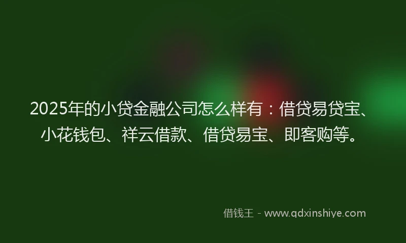 2025年的小贷金融公司怎么样有：借贷易贷宝、小花钱包、祥云借款、借贷易宝、即客购等。