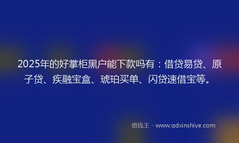 2025年的好掌柜黑户能下款吗有：借贷易贷、原子贷、疾融宝盒、琥珀买单、闪贷速借宝等。