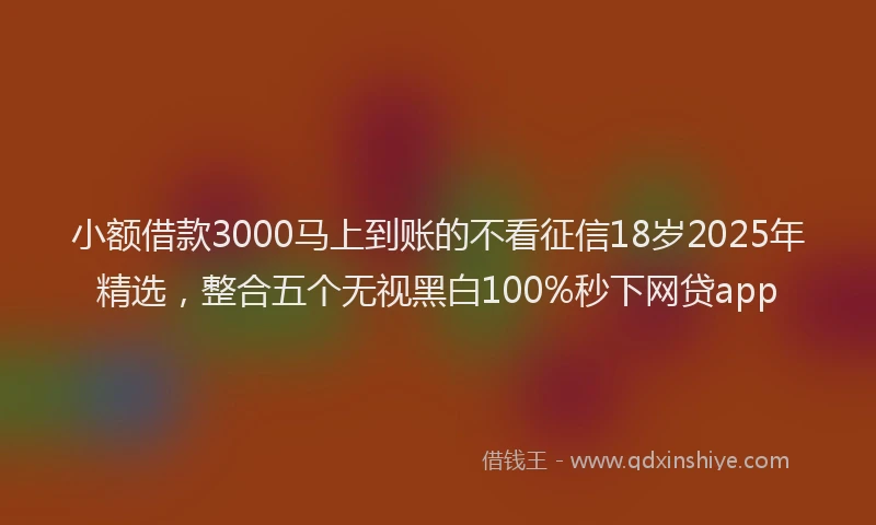 小额借款3000马上到账的不看征信18岁2025年精选，整合五个无视黑白100%秒下网贷app