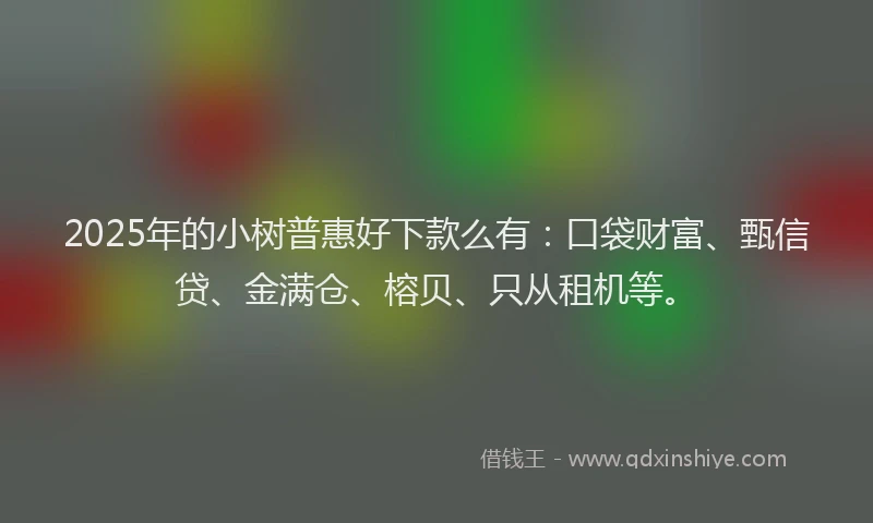 2025年的小树普惠好下款么有：口袋财富、甄信贷、金满仓、榕贝、只从租机等。