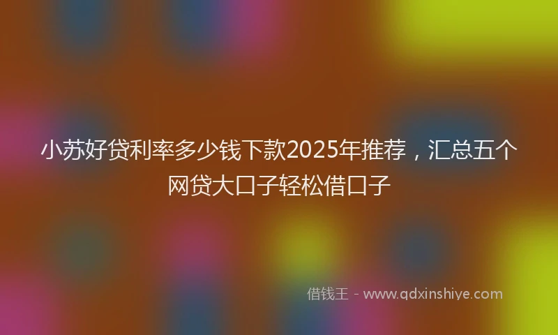 小苏好贷利率多少钱下款2025年推荐，汇总五个网贷大口子轻松借口子
