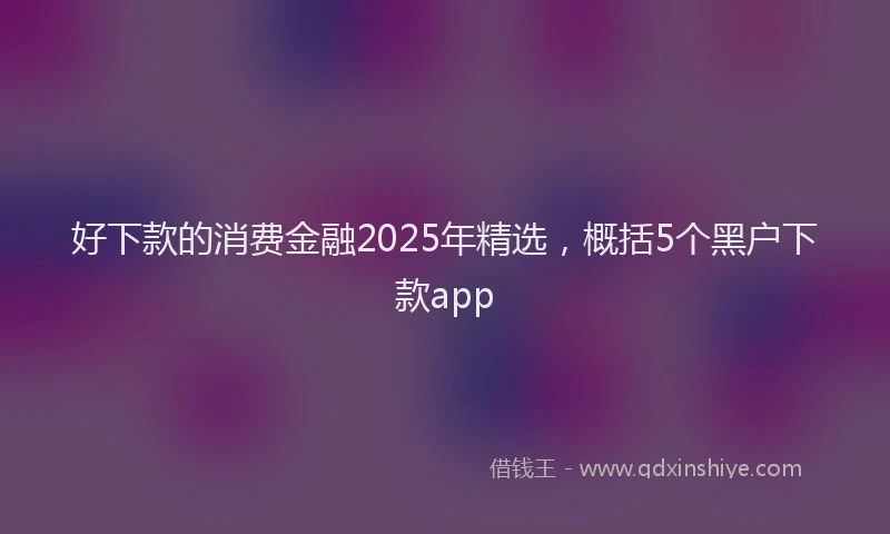 好下款的消费金融2025年精选，概括5个黑户下款app