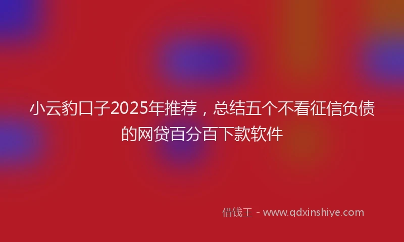 小云豹口子2025年推荐，总结五个不看征信负债的网贷百分百下款软件