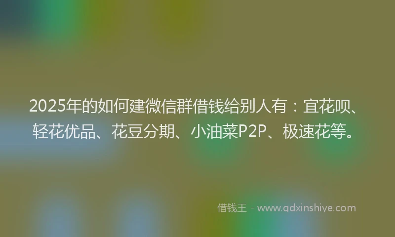 2025年的如何建微信群借钱给别人有：宜花呗、轻花优品、花豆分期、小油菜P2P、极速花等。