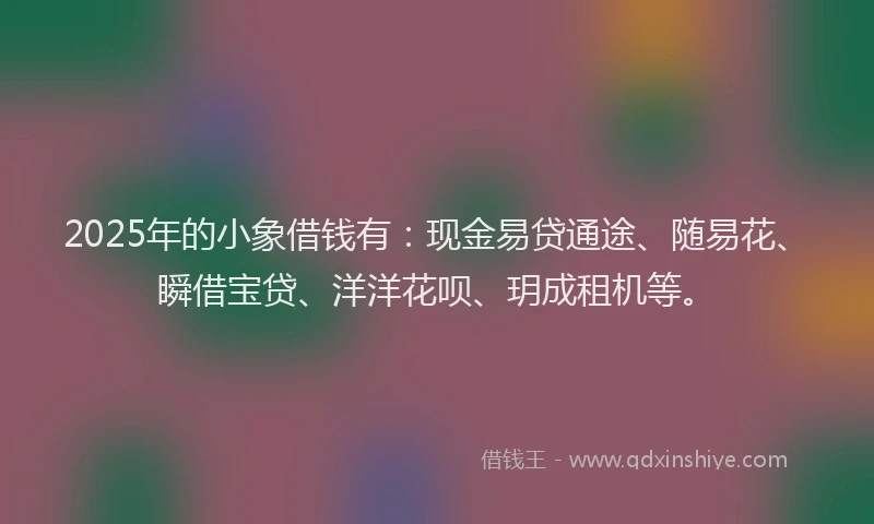 2025年的小象借钱有：现金易贷通途、随易花、瞬借宝贷、洋洋花呗、玥成租机等。