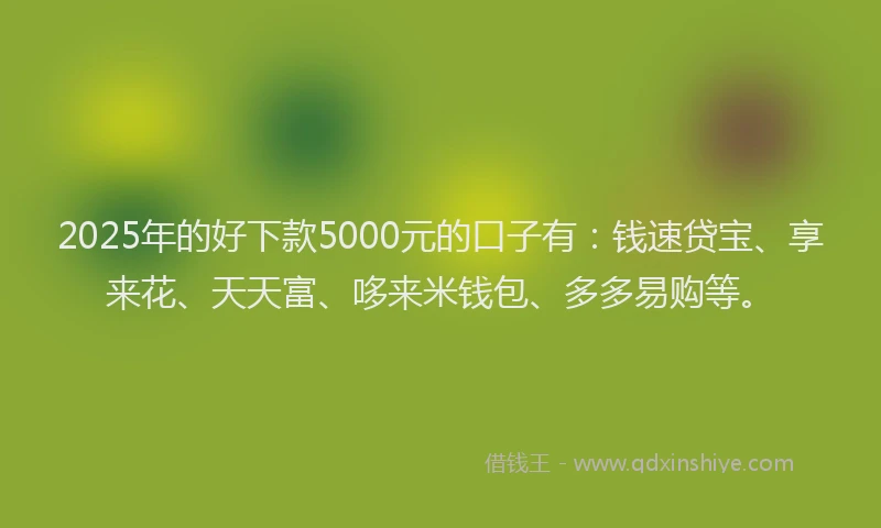 2025年的好下款5000元的口子有：钱速贷宝、享来花、天天富、哆来米钱包、多多易购等。