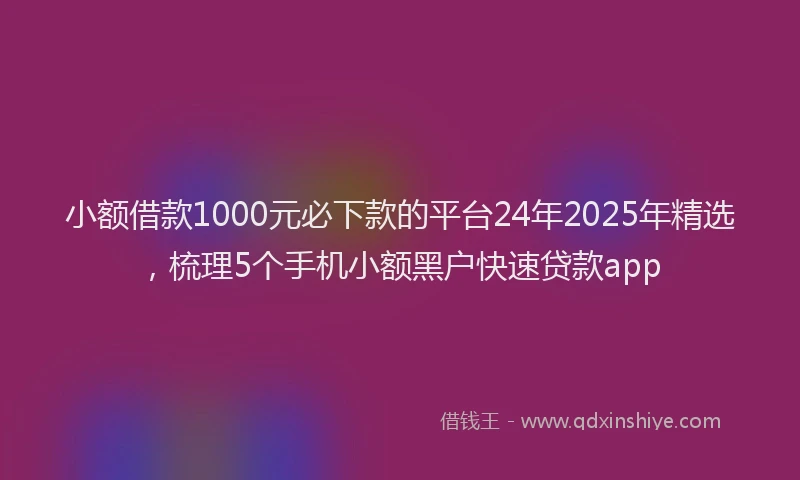 小额借款1000元必下款的平台24年2025年精选，梳理5个手机小额黑户快速贷款app