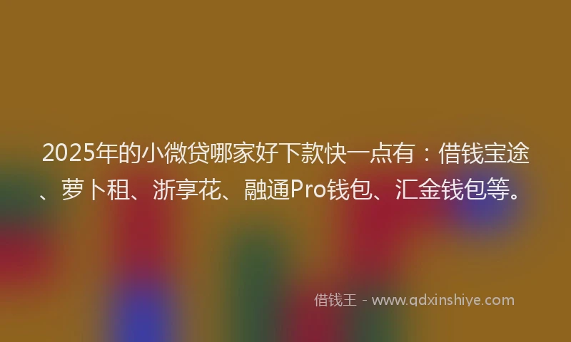 2025年的小微贷哪家好下款快一点有：借钱宝途、萝卜租、浙享花、融通Pro钱包、汇金钱包等。