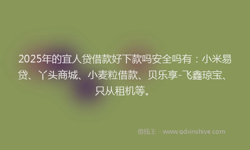 2025年的宜人贷借款好下款吗安全吗有：小米易贷、丫头商城、小麦粒借款、贝乐享-飞鑫琼宝、只从租机等。