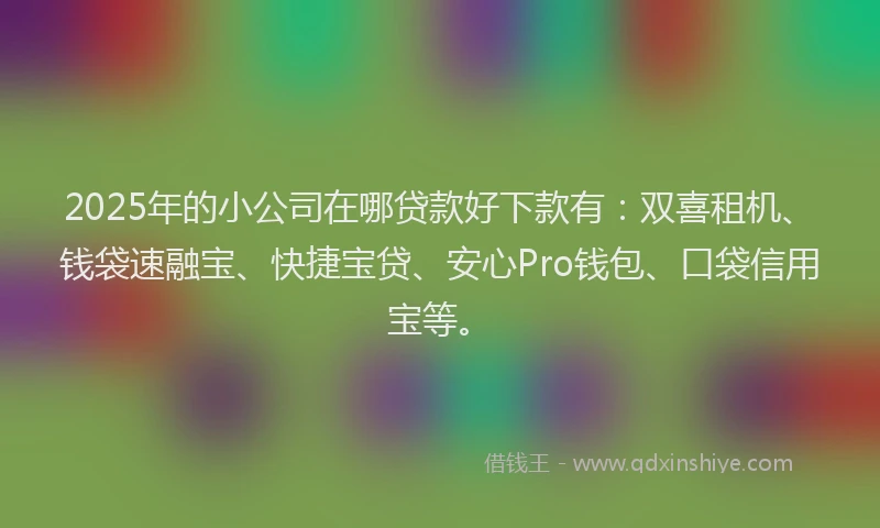 2025年的小公司在哪贷款好下款有：双喜租机、钱袋速融宝、快捷宝贷、安心Pro钱包、口袋信用宝等。