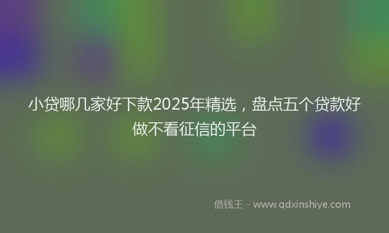 小贷哪几家好下款2025年精选，盘点五个贷款好做不看征信的平台