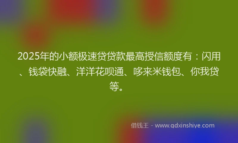 2025年的小额极速贷贷款最高授信额度有：闪用、钱袋快融、洋洋花呗通、哆来米钱包、你我贷等。