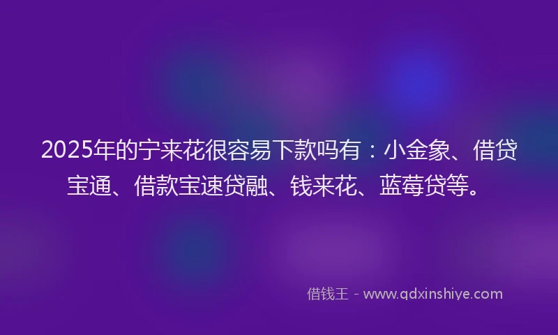 2025年的宁来花很容易下款吗有：小金象、借贷宝通、借款宝速贷融、钱来花、蓝莓贷等。