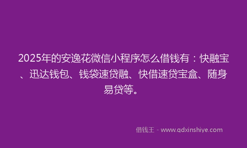 2025年的安逸花微信小程序怎么借钱有：快融宝、迅达钱包、钱袋速贷融、快借速贷宝盒、随身易贷等。