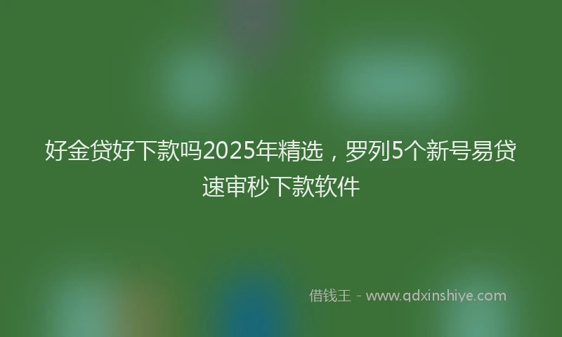 好金贷好下款吗2025年精选，罗列5个新号易贷速审秒下款软件