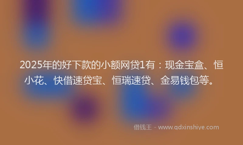 2025年的好下款的小额网贷1有：现金宝盒、恒小花、快借速贷宝、恒瑞速贷、金易钱包等。