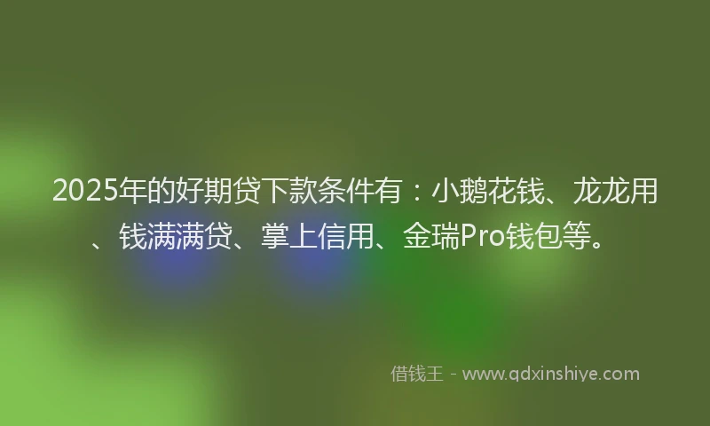2025年的好期贷下款条件有：小鹅花钱、龙龙用、钱满满贷、掌上信用、金瑞Pro钱包等。
